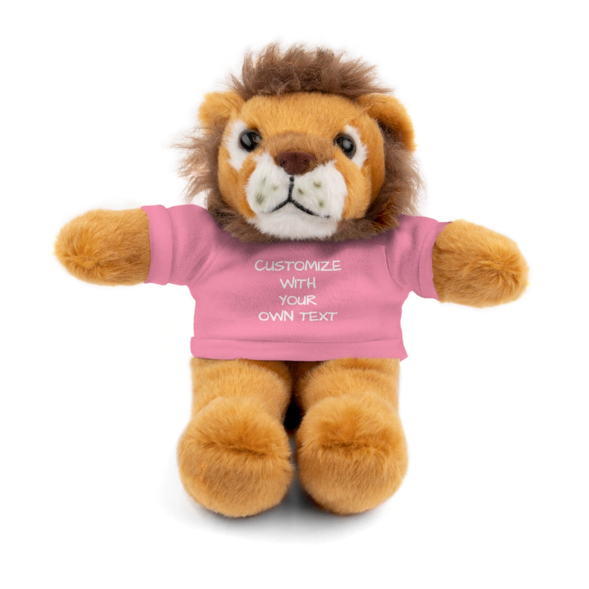 Stuffed Animal with Custom T-Shirt | Personalized Plush Gift | Kids Birthday Present | Customizable Text - c239a25